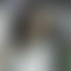 Eva, Travestiet, 37 jaar oud, Nieuwkuijk (2)